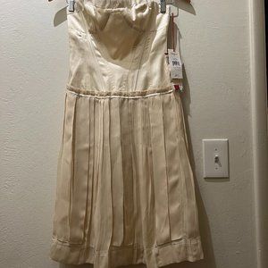 BCBG MaxAzria Silk Dress! Never Worn!